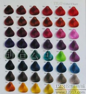 染发色卡 头发色卡 毛板染色色卡 Hair Color Chart